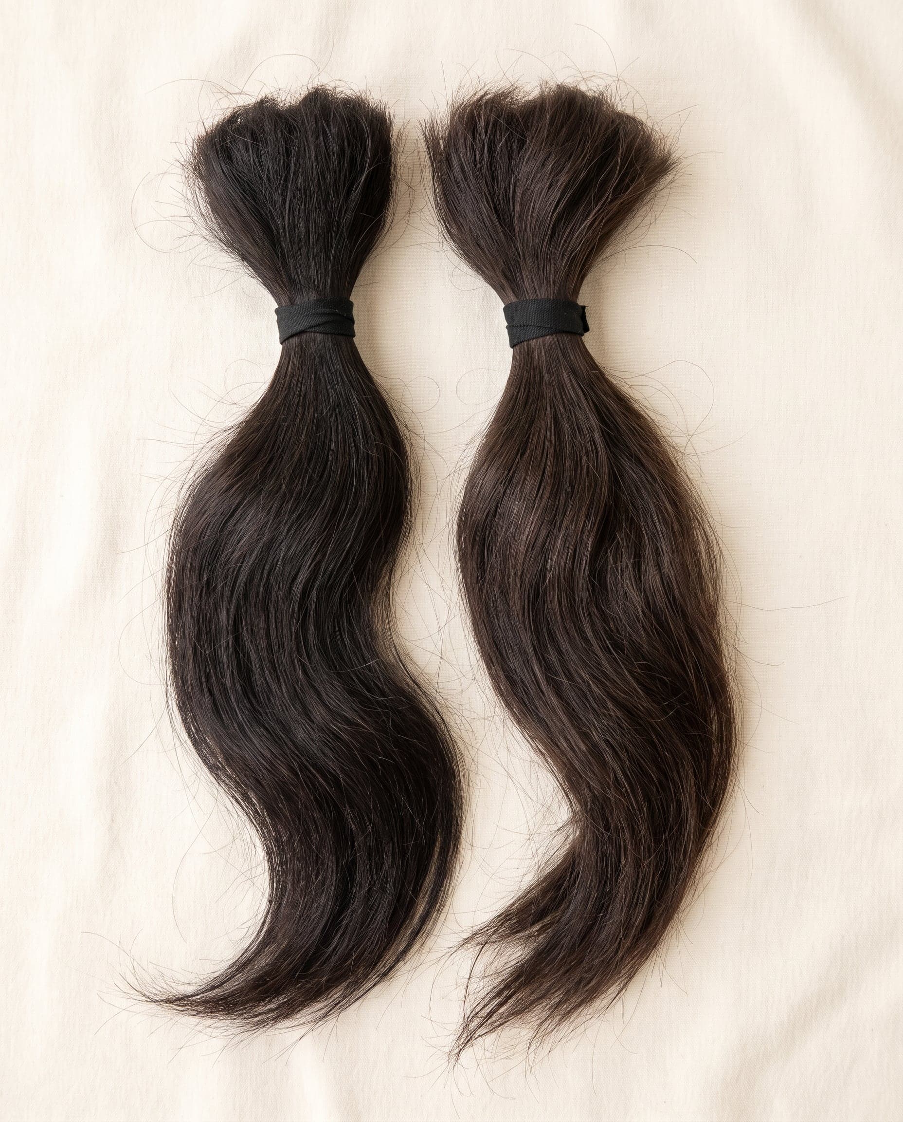 Two Silver grade bundles in deep natural brown laid in gentle flowing curves on a warm ivory surface